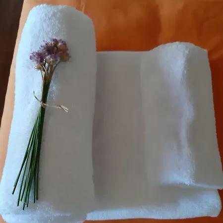 Hostel Criativo Do Sabugueiro Sabugueiro  Zewnętrze zdjęcie